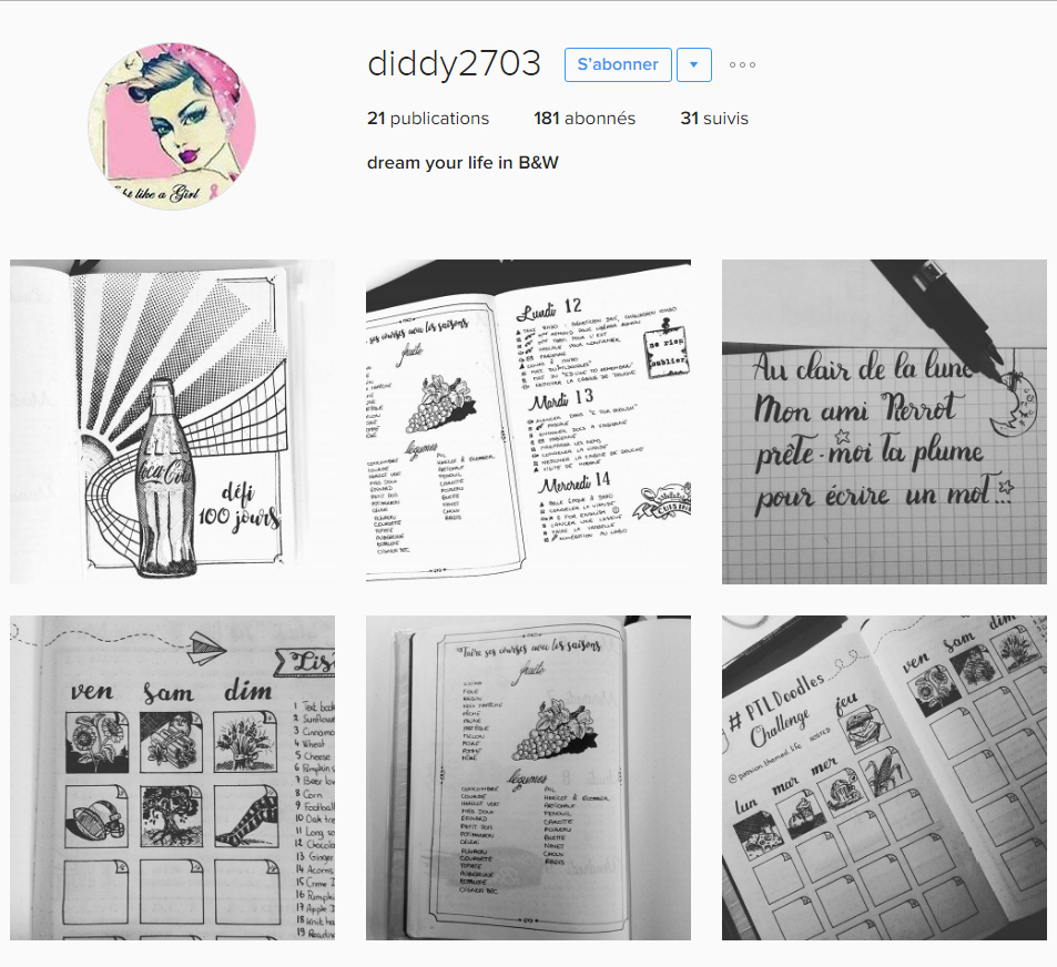 inspiration-insta-diddy2703-bujofrance