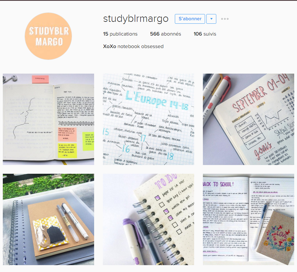 inspiration-insta-studyblrmargo-bujofrance