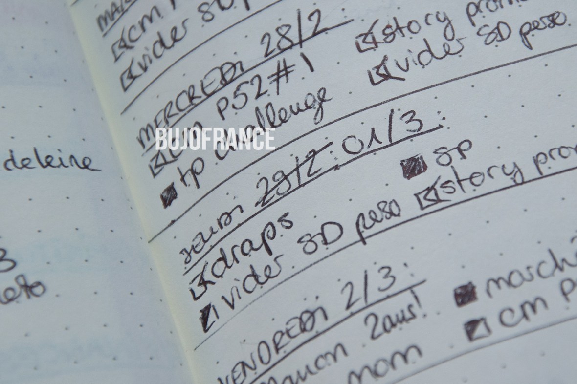 bullet-journal-bujofrance-flylady-6