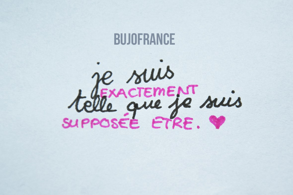 bullet-journal-bujofrance-flylady-7