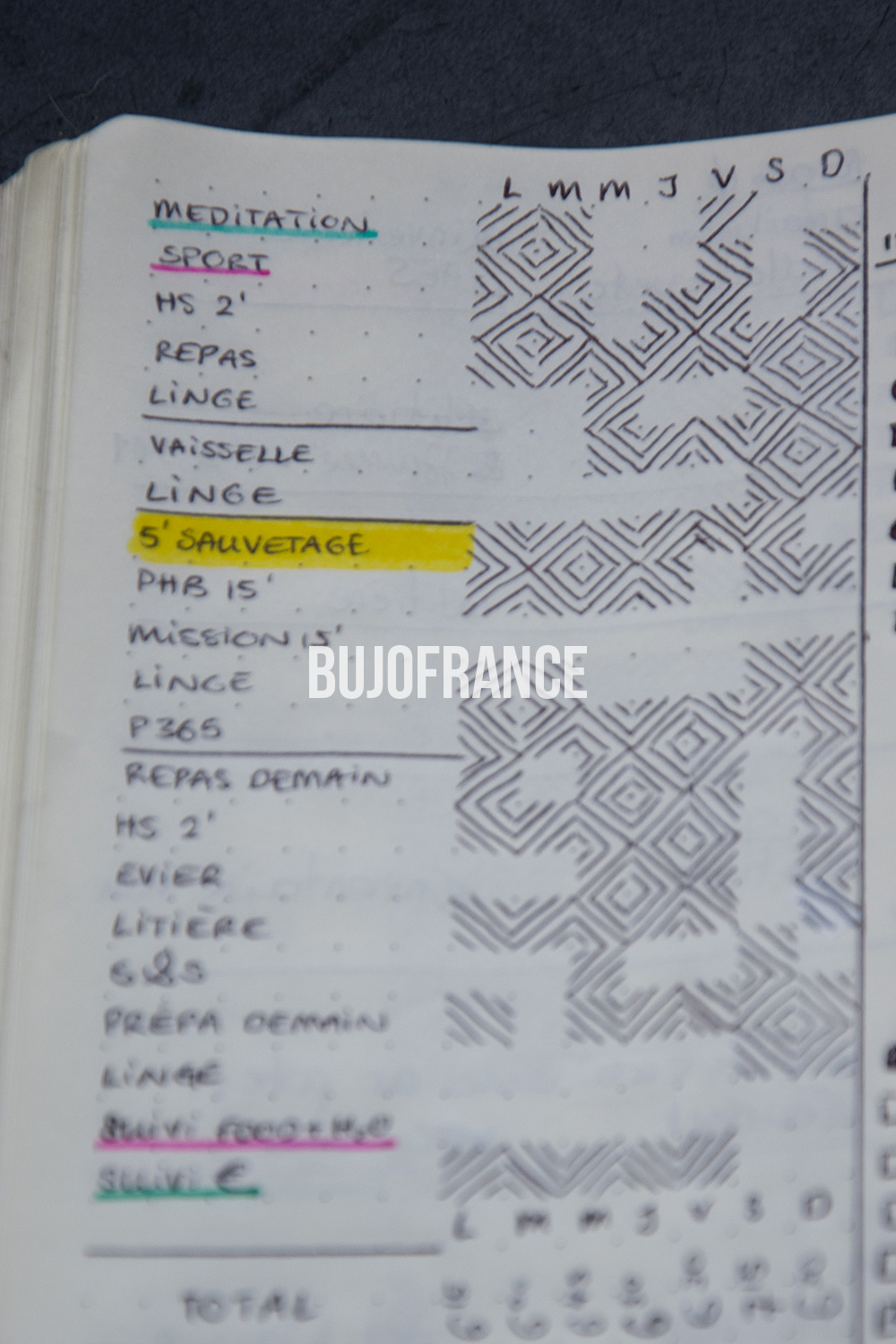 bullet-journal-bujofrance-flylady-8
