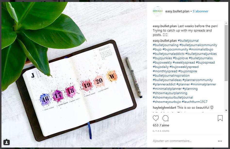 bullet-journal-bujofrance-inspiration-easy.bullet.plan