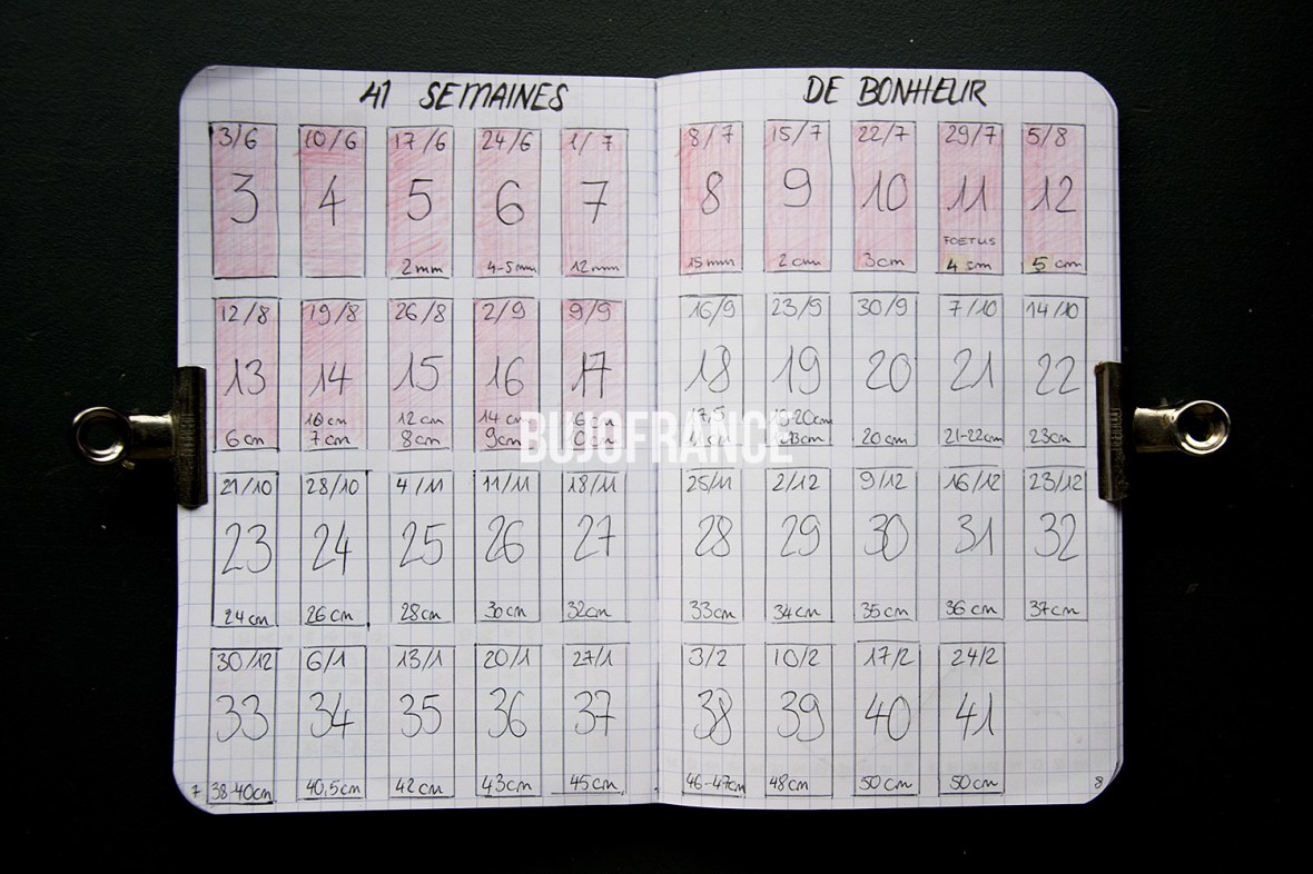 bullet-journal-bujofrance-carnet-grossesse-3