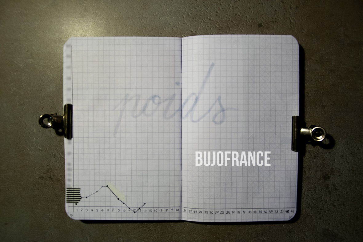 bullet-journal-bujofrance-carnet-grossesse-4