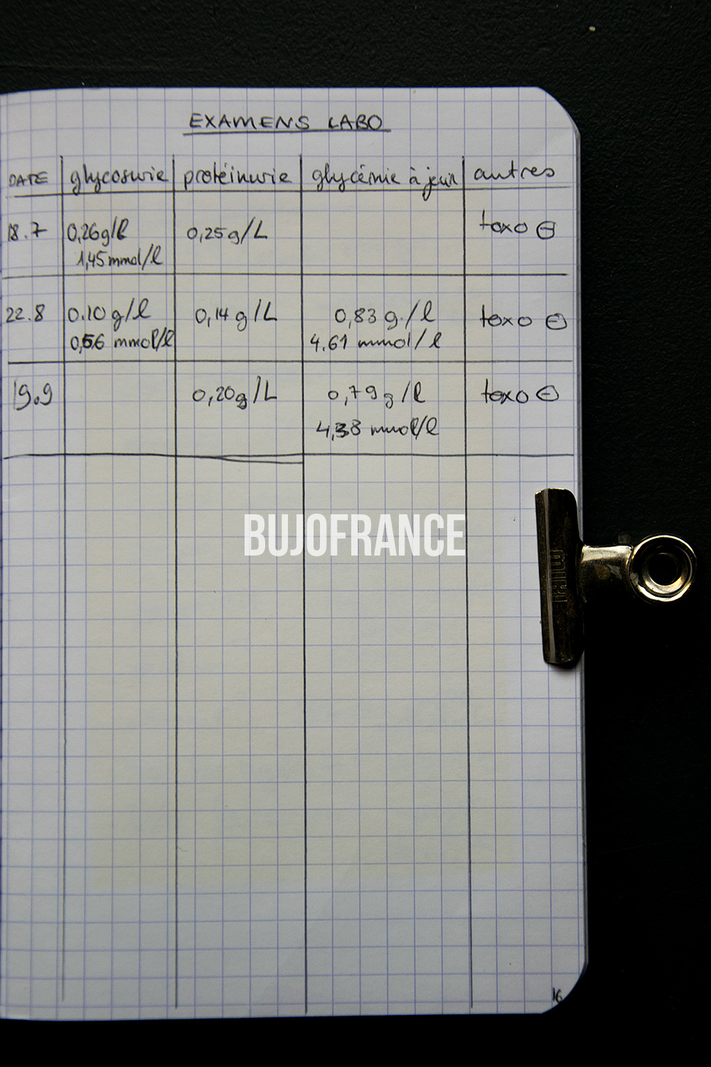 bullet-journal-bujofrance-carnet-grossesse-6