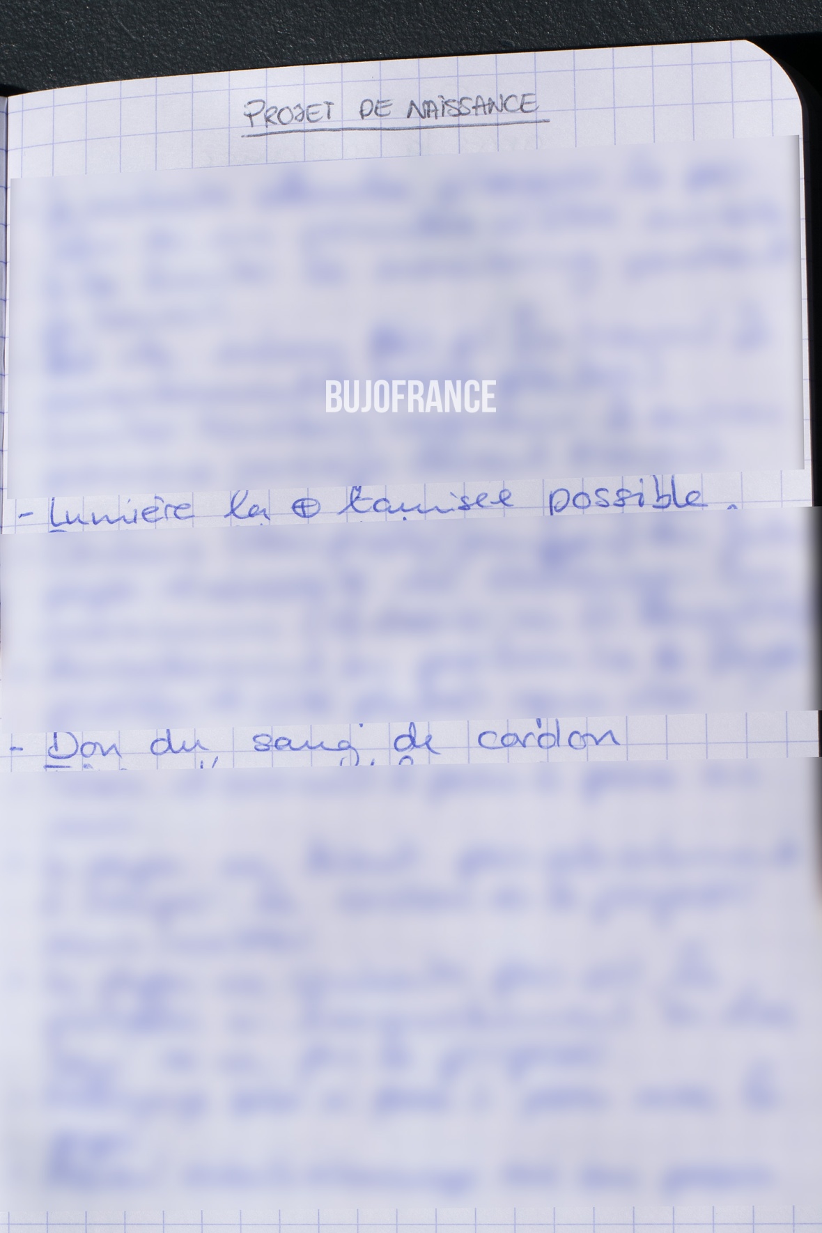 bullet-journal-bujofrance-carnet-grossesse-11